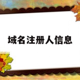 域名注册人信息(域名注册人信息公开)