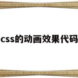 css的动画效果代码(css动画效果代码案例)