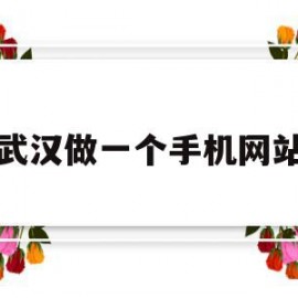 武汉做一个手机网站(武汉做网站建设公司哪家好)