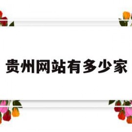 贵州网站有多少家(贵州网站建设百家号)