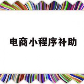 电商小程序补助(电商小程序需要什么资质)