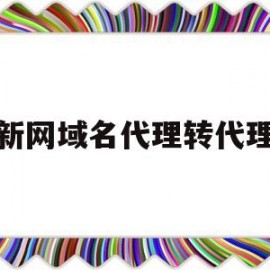 新网域名代理转代理(新网域名代理平台)