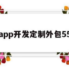 app开发定制外包55(app开发定制外包服务商)
