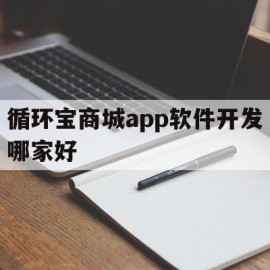 关于循环宝商城app软件开发哪家好的信息