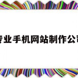 专业手机网站制作公司(专业手机网站制作公司招聘)