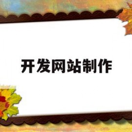 开发网站制作(网站开发怎么做)