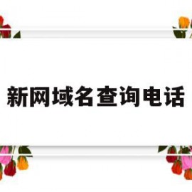 新网域名查询电话(网站域名查询联系方式)
