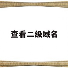 查看二级域名(域名下的二级域名查询)