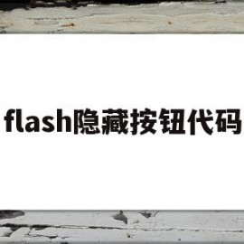 flash隐藏按钮代码(Flash代码点击按钮时动画开始播放)