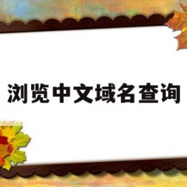 浏览中文域名查询(浏览中文域名查询网站)