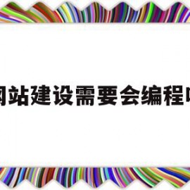 网站建设需要会编程吗(建网站需要用的的编程语言)