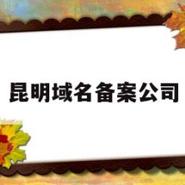 昆明域名备案公司的简单介绍