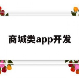 商城类app开发(商城类app开发价格)