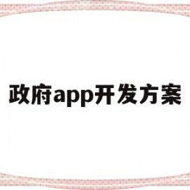 政府app开发方案(政府软件开发是在什么平台上)