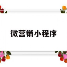 微营销小程序(微信小程序营销案例)