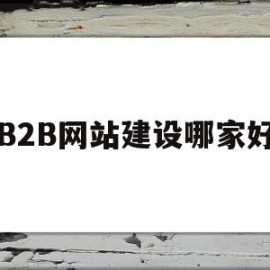 B2B网站建设哪家好(b2b平台网站建设)