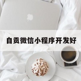 自贡微信小程序开发好(微信小程序开发一个多少钱)