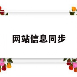 网站信息同步(网站信息同步软件)
