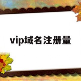 vip域名注册量(vip域名续费价格)