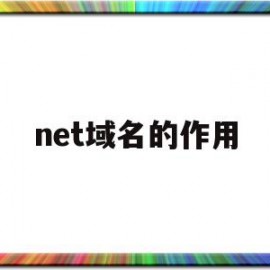 net域名的作用(net域名和cn域名)