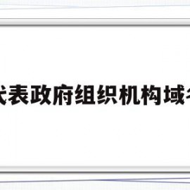代表政府组织机构域名(表示政府组织的一级域名)