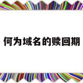 何为域名的赎回期(域名赎回期被别人注册怎么办)