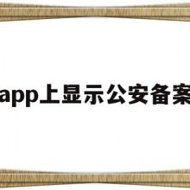 app上显示公安备案(app公安备案需要多久)