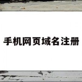 手机网页域名注册(浏览手机域名注册局)