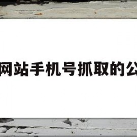 做网站手机号抓取的公司(网站获取手机号码逮捕)