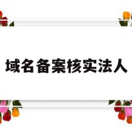 域名备案核实法人(域名备案审核流程)