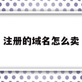注册的域名怎么卖(注册的域名怎么卖出去)