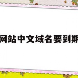 网站中文域名要到期(网站中文域名要到期才能用吗)