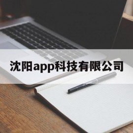 沈阳app科技有限公司(深圳彼优米科技有限公司APP)
