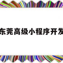 东莞高级小程序开发(东莞市小程序电子商务有限公司)