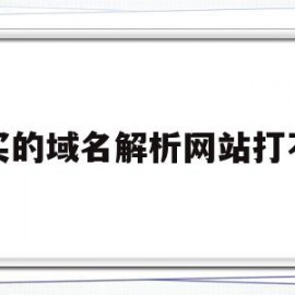 购买的域名解析网站打不开(域名解析成功了为什么还打不开)