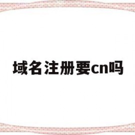 域名注册要cn吗(域名注册需要实名吗)