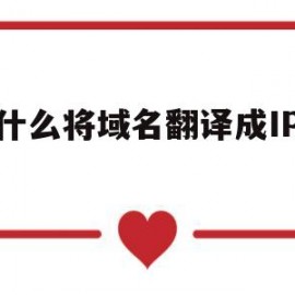 由什么将域名翻译成IP地址(把域名翻译成ip地址的软件英文缩写为)