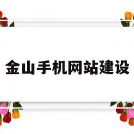金山手机网站建设(金山手机助手官方下载)