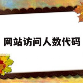 网站访问人数代码(网站访问人数过多怎么办)