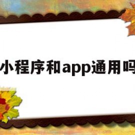 小程序和app通用吗(小程序跟app功能一样吗)