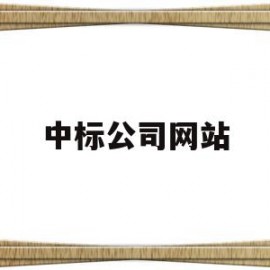 中标公司网站(one船公司网站)