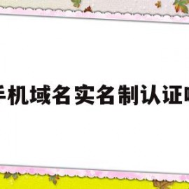 手机域名实名制认证吗(手机域名注册证书)
