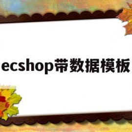 ecshop带数据模板(ecshop有哪些bug)