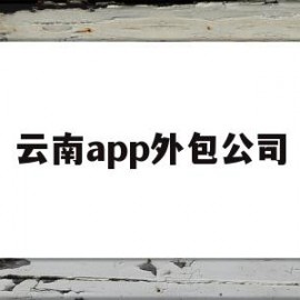云南app外包公司(云南软件开发外包公司)