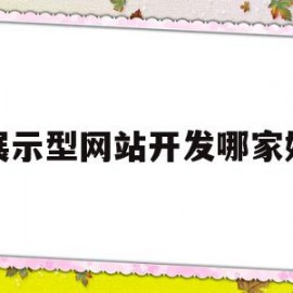 展示型网站开发哪家好(推荐几个不错的展示型网站)
