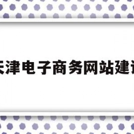 天津电子商务网站建设(天津电子商务网站建设公司)
