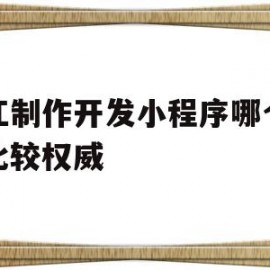包含浙江制作开发小程序哪个公司比较权威的词条