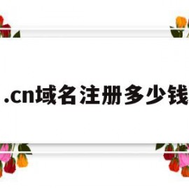 包含.cn域名注册多少钱的词条