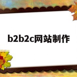 b2b2c网站制作(b2b网站编辑)
