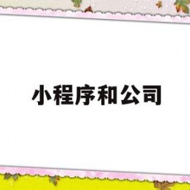 小程序和公司(小程序和公司的关系)